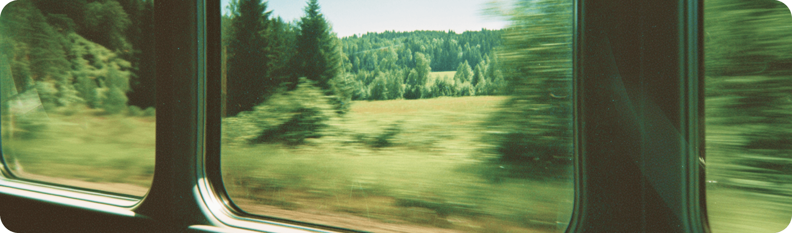 Utsikt genom ett tågfönster över ett grönt landskap